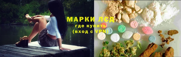 сатива Володарск