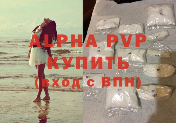 сатива Володарск